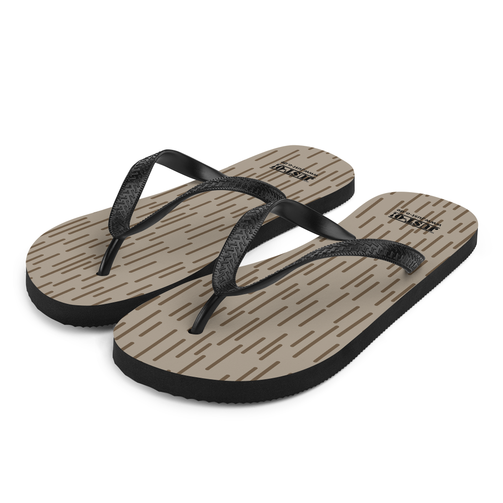 Flip-Flops DDR Strichtarn